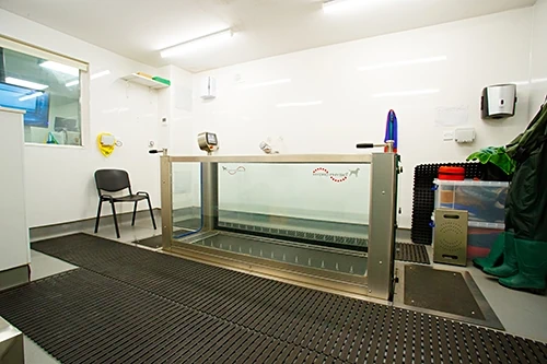 Hydrotherapy tank at Greenside